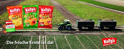 Details zu 'Kelly Chips'...