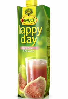 Happy Day Fruchtsaft Produkt-Bild