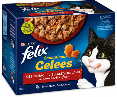 Felix Katzenfutter Produkt-Bild