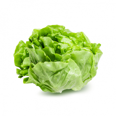 Häuptelsalat Produkt-Bild
